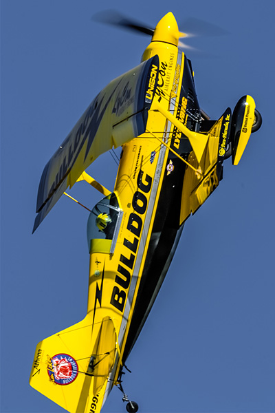 Bulldog - Jim LeRoy