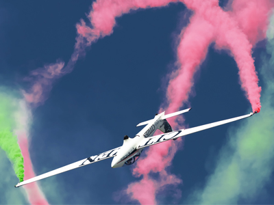 MDM Fox - Luca Bertossio