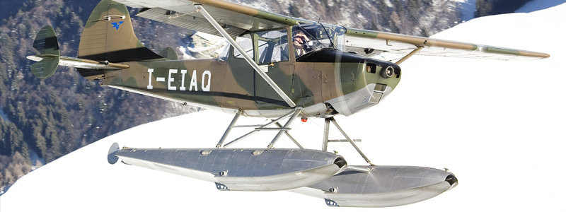 Cessna L-19 Bird Dog