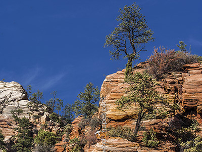 Zion