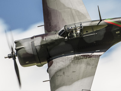 Curtiss H75-C1 Hawk